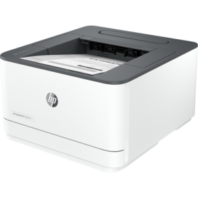 HP LaserJet Pro 3002dn - Imprimante laser